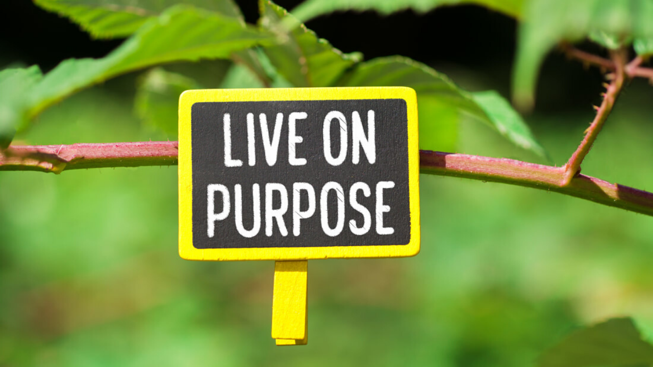 Are you living life on purpose?