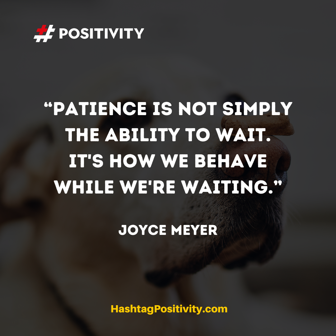 “Patience is not simply the ability to wait. It's how we behave while we're waiting.” -- Joyce Meyer