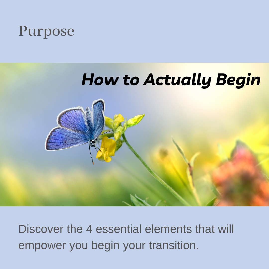 Purpose: How to Actually Begin: Discover the 4 essential elements that will empower you to begin your transition.