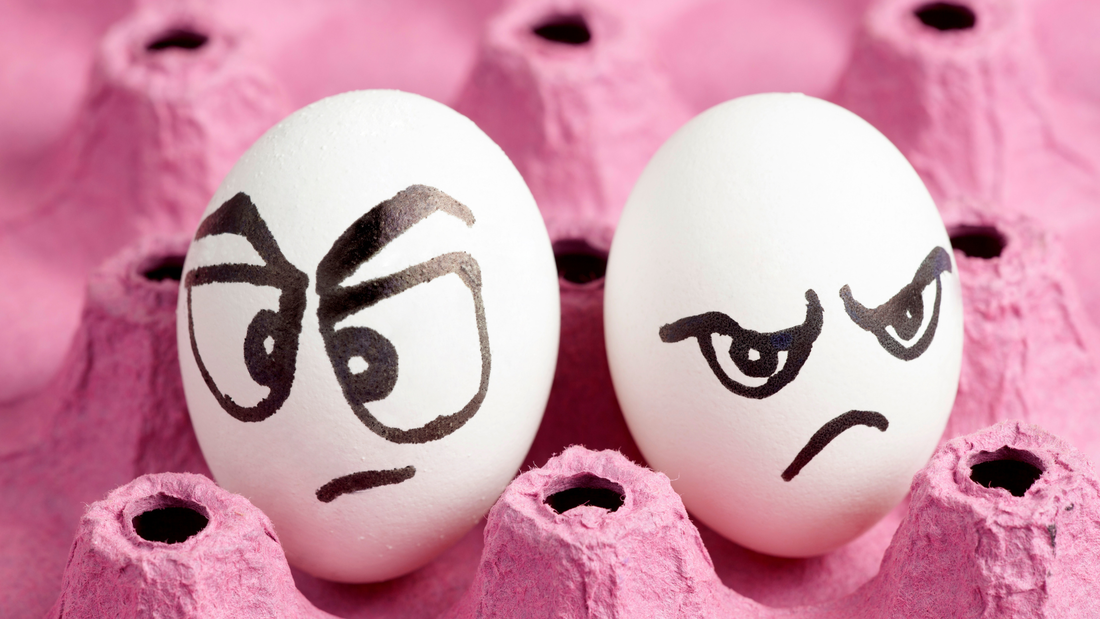 Grumpy eggs sitting in a carton, offended by one another and looking away in eggsaggerated disgust.