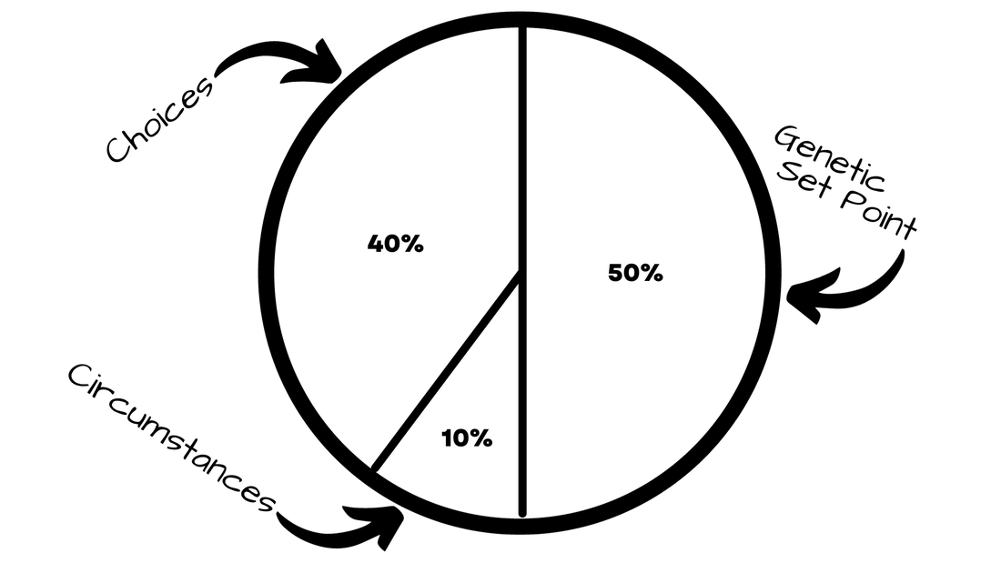 A pie chart showing that 50% of our happiness is decided by a genetic set point, 10% by our circumstances, and 40% by our choices.