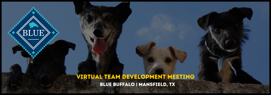 Blue Buffalo, TX: Virtual Team Meeting