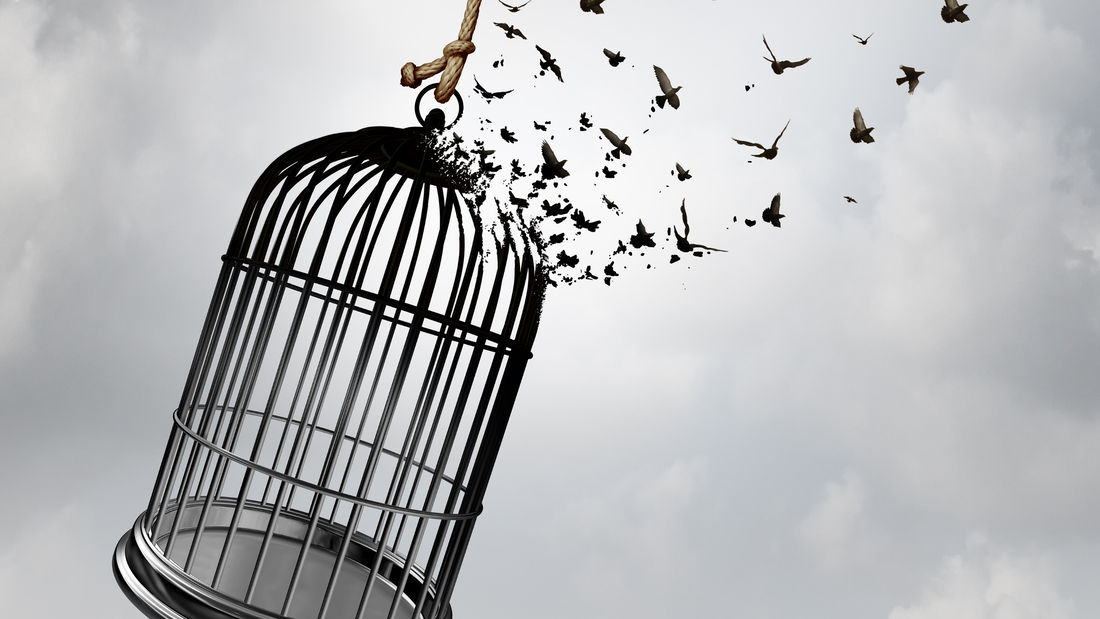 In this picture a bird cage seen handing in front of dark storm clouds is slowly melting into a flock of birds, symbolizing our own desire to be set free from the oppression of challenges.