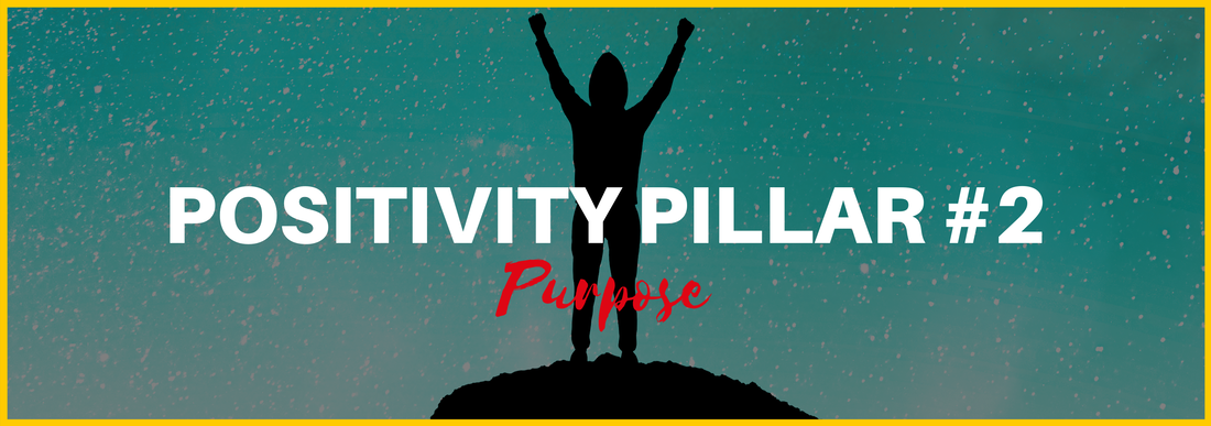 Positivity Pillar #2: Purpose